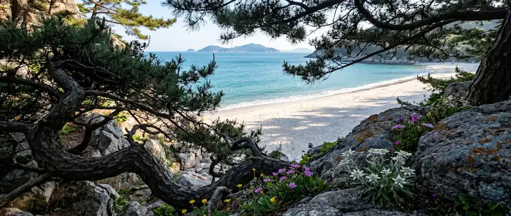 은모래 비치의 송림 산책로