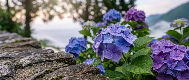 남해 초여름 AI 콘텐츠 생성 전략
