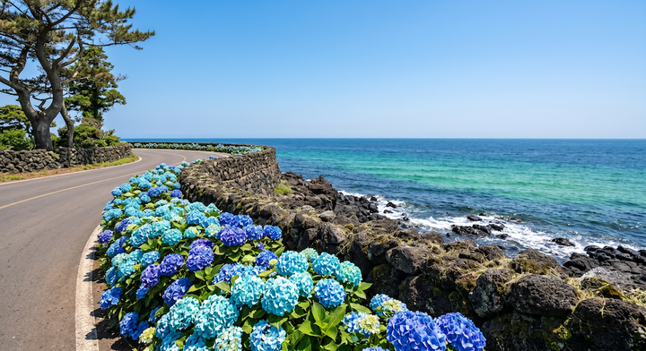 청량한 에메랄드 해변과 수국 해안도로