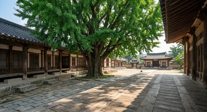 전주향교의 거대한 은행나무와 여름 녹음